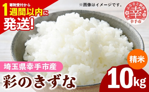 令和7年産【彩のきずな】白米10kg 色彩選別済 White Rice- お米 米 ごはん 精米 10kg 埼玉県 幸手市
