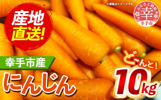 【きあり農園】幸手市産 人参 10kg - 採れたて にんじん ニンジン 産地直送 野菜 ベジタブル 美味しい おいしい 根菜 煮物 炒め物 カレー サラダ おすすめ 送料無料 埼玉県 幸手市