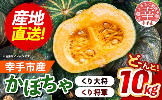 【きあり農園】2026年度 幸手市産 かぼちゃ 約10kg - カボチャ 南瓜 くり大将 くり将軍 産地直送 野菜 ベジタブル 美味しい おいしい 緑黄色野菜 大容量 国産 おすすめ 送料無料 埼玉県 幸手市