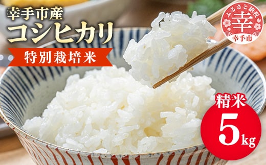 【令和7年産】有機肥料 100％ 埼玉県幸手市産特別栽培コシヒカリ 精米 5kg - 2025年10月1週目より順次発送 新米発送 コシヒカリ こしひかり 米 精米 5kg 有機肥料 特別栽培米 幸手市産 埼玉県 幸手市
