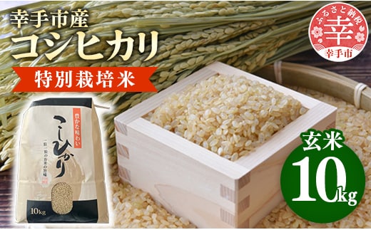 【令和7年産】有機肥料100％ 埼玉県幸手市産特別栽培コシヒカリ 玄米10kg - 2025年10月1週目より順次発送 新米発送 コシヒカリ こしひかり 米 玄米 10kg 有機肥料 特別栽培幸手市産 埼玉県 幸手市