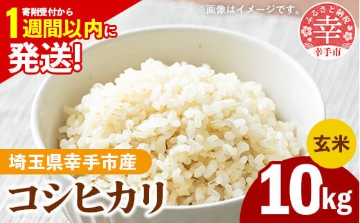 令和7年産 幸手市産 コシヒカリ 玄米10kg 色彩選別済 Brown Rice - お米 米 こしひかり 玄米 10kg 埼玉県 幸手市