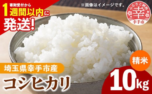 令和7年産 幸手市産 コシヒカリ 白米10kg 色彩選別済 White Rice- お米 米 こしひかり 精米 10kg 埼玉県 幸手市