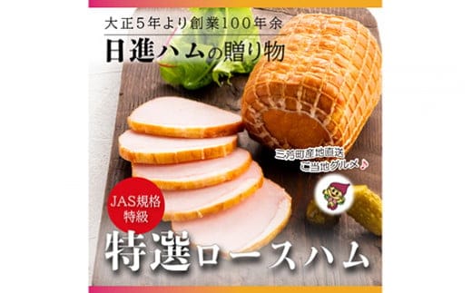 【口の中でお肉がとける贅沢な食感】日進ハム 特選ロースハム 300g ※離島への配送不可 豚ロース肉 NISSIN おかず おつまみ 手土産 FAA-153