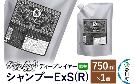 DeepLayer ディープレイヤー シャンプー ExS (R) 【詰替】 750mL×1個 [まとまり パサつき なめらか 手触り スルスル髪 ふんわり 細毛 軟毛 ダメージ毛 ブリーチ毛]