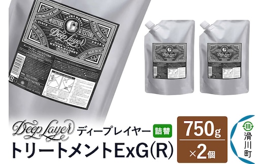 DeepLayer ディープレイヤー トリートメント ExG (R) 【詰替】 750g×2個 [まとまり パサつき なめらか 手触り スルスル髪 ふんわり 細毛 軟毛 ダメージ毛 ブリーチ毛 リンス コンディショナー]