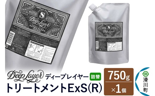 DeepLayer ディープレイヤー トリートメント ExS (R) 【詰替】 750g×1個 [まとまり パサつき なめらか 手触り スルスル髪 ふんわり 細毛 軟毛 ダメージ毛 ブリーチ毛 リンス コンディショナー]