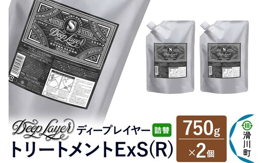 DeepLayer ディープレイヤー トリートメント ExS (R) 【詰替】 750g×2個 [まとまり パサつき なめらか 手触り スルスル髪 ふんわり 細毛 軟毛 ダメージ毛 ブリーチ毛 リンス コンディショナー]