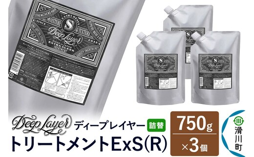 DeepLayer ディープレイヤー トリートメント ExS (R) 【詰替】 750g×3個 [まとまり パサつき なめらか 手触り スルスル髪 ふんわり 細毛 軟毛 ダメージ毛 ブリーチ毛 リンス コンディショナー]