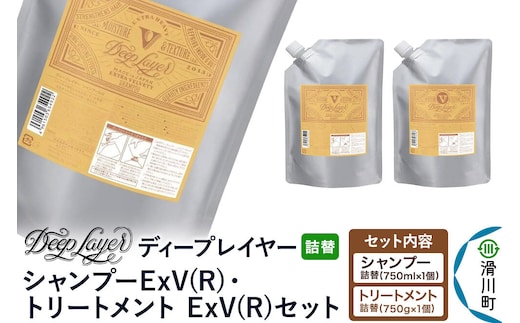 DeepLayer ディープレイヤー シャンプーExV (R) 750mL×1個・トリートメント ExV 750g×1個 【詰替】 セット [まとまり パサつき なめらか 手触り スルスル髪 ふんわり 細毛 軟毛 ダメージ毛 ブリーチ毛 リンス コンディショナー]