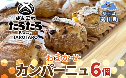 カンパーニュ 6個 セット ぱん パン あんこ 小麦 農林61 ふすま 生地 醗酵 濃厚 芳醇 香り もっちり 食感 ハード系 ぱん工房 たろたろ 埼玉県 嵐山町