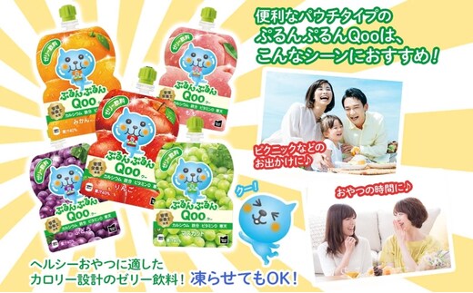 お菓子まとめ売り ぷるんぷるんQoo 2026年9月末で掲載終了】定期便 3ヵ月 ゼリー ミニッツメイド