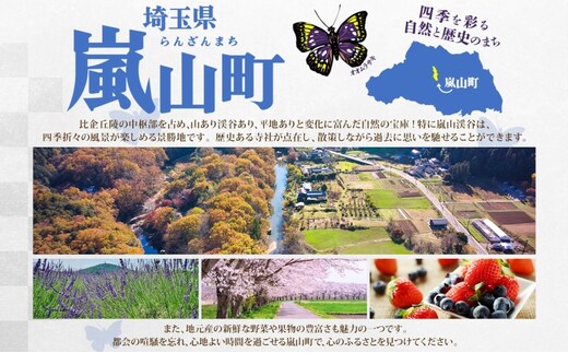 2026年9月末で掲載終了】定期便 3ヵ月 ゼリー ミニッツメイド