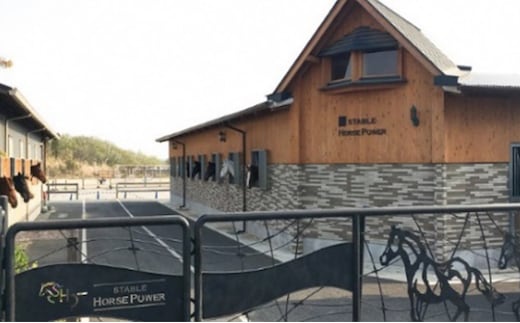 ステーブルホースパワー（乗馬クラブ）用クーポン券(6,000円分) 体験チケット スポーツ 趣味 ウマ 動物 