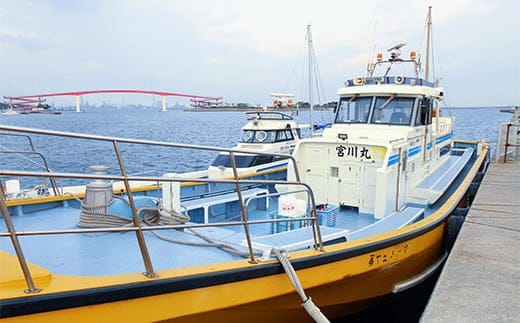 KAO001 ＜宮川丸＞木更津防波堤釣り 渡船乗船券 （１名様/1回分） ふるさと納税 釣り 船 舟 大漁 魚 イカ 漁船 千葉県 木更津 送料無料