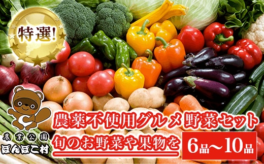 KAT001 特選！農薬不使用グルメ野菜セット【旬のお野菜や果物を６品～10品】＜農業公園ぽんぽこ村＞ ふるさと納税 野菜 野菜セット 新鮮 農薬不使用 オーガニック お鍋 サラダ 千葉県 木更津 送料無料