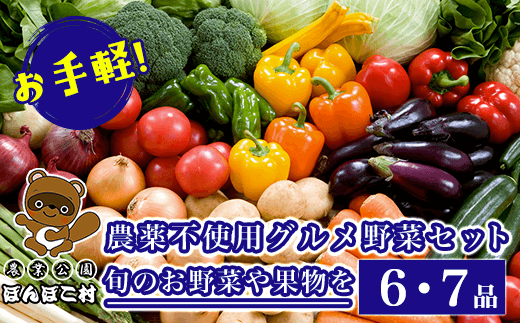 KAT002 お手軽！農薬不使用グルメ野菜セット【旬のお野菜や果物を6・7品】＜農業公園ぽんぽこ村＞ ふるさと納税 野菜 野菜セット 新鮮 農薬不使用 オーガニック お鍋 サラダ 千葉県 木更津 送料無料