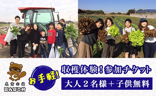 KAT004 ＜農業公園ぽんぽこ村＞お手軽収穫体験！参加チケット（大人２名様＋子供無料） ふるさと納税 野菜 野菜セット 収穫体験 千葉県 木更津 送料無料