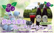 KAA001 ＜有機栽培ブルーベリー使用＞夢みる果実ブルーベリージュース（果汁40％）500ml×2本 ふるさと納税 ブルーベリー ブルーベリージュース アントシアニン 千葉県 木更津市 送料無料