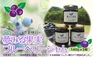 KAA003 ＜有機栽培ブルーベリー使用＞夢みる果実ブルーベリージャム　140ｇ×3本 ふるさと納税 ブルーベリー ブルーベリージュース アントシアニン 千葉県 木更津市 送料無料