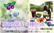KAA004 ＜有機栽培ブルーベリー使用＞夢みる果実ブルーベリー 加工品３種セット ふるさと納税 ブルーベリー ブルーベリージュース ジャム アントシアニン 千葉県 木更津市 送料無料