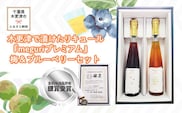 KAM008 木更津で漬けたリキュール『meguriプレミアム』梅＆ブルーベリーセット ふるさと納税 リキュール アルコール スピリッツ うめ フルーツ 千葉県 木更津 送料無料