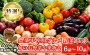 KAT001 特選！農薬不使用グルメ野菜セット【旬のお野菜や果物を６品～10品】＜農業公園ぽんぽこ村＞ ふるさと納税 野菜 野菜セット 新鮮 農薬不使用 オーガニック お鍋 サラダ 千葉県 木更津 送料無料