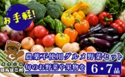 KAT002 お手軽！農薬不使用グルメ野菜セット【旬のお野菜や果物を6・7品】＜農業公園ぽんぽこ村＞ ふるさと納税 野菜 野菜セット 新鮮 農薬不使用 オーガニック お鍋 サラダ 千葉県 木更津 送料無料