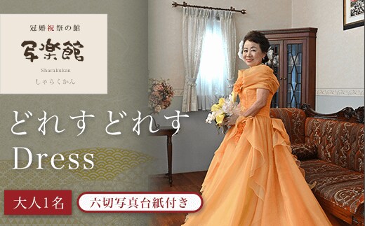 KBM003 どれすどれすDress（大人１名）六切写真台紙付き 写真 撮影 スタジオ 千葉県 木更津市 送料無料