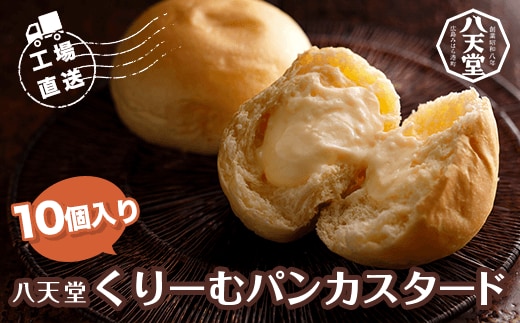 KBS002 ＜工場直送＞八天堂くりーむパンカスタード10個入り パン クリームパン 千葉県 木更津市 送料無料