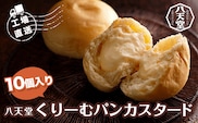KBS002 ＜工場直送＞八天堂くりーむパンカスタード10個入り パン クリームパン 千葉県 木更津市 送料無料