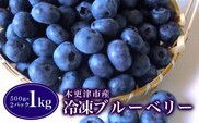 木更津市産 冷凍ブルーベリー １kg（５００ｇ×２パック） ふるさと納税 ブルーベリー 冷凍 木更津 千葉県 送料無料 KCA002