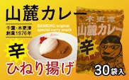 KP005 木更津山麓カレーひねり揚げ １ケース35g×30袋  ふるさと納税 カレー味 カレー お菓子 お煎餅 スナック 辛い 辛口 ビール おつまみ おやつ 千葉 木更津 送料無料