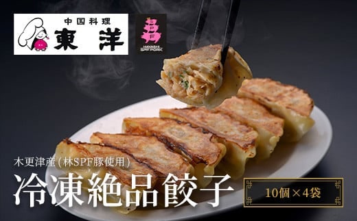 KR002 【木更津産(林SPF豚使用)】冷凍絶品餃子(10個×4袋) ふるさと納税 餃子 中華 ぎょうざ ギョウザ 本格 お店の味 人気 おつまみ おかず 千葉県 木更津 送料無料