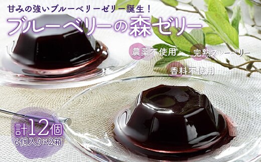 KT001 ＜甘みの強いブルーベリーゼリー誕生！＞ブルーベリーの森ゼリー12個 ふるさと納税 ブルーベリー ゼリー コラーゲン スイーツ おやつ 美容 健康 千葉県 木更津 送料無料