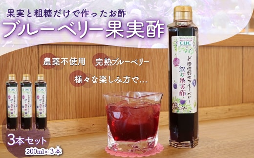 KT004 ＜果実と粗糖だけで作ったお酢＞飲むブルーベリー果実酢 3本セット ふるさと納税 ブルーベリー お酢 酢 健康 美容 果実酢 ソーダ 水割り 千葉県 木更津 送料無料