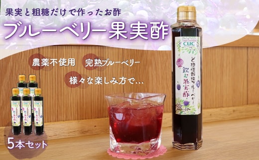 KT005 ＜果実と粗糖だけで作ったお酢＞飲むブルーベリー果実酢 5本セット ふるさと納税 ブルーベリー お酢 酢 健康 美容 果実酢 ソーダ 水割り 千葉県 木更津 送料無料