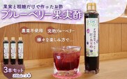 KT004 ＜果実と粗糖だけで作ったお酢＞飲むブルーベリー果実酢　3本セット ふるさと納税 ブルーベリー お酢 酢 健康 美容 果実酢 ソーダ 水割り 千葉県 木更津 送料無料