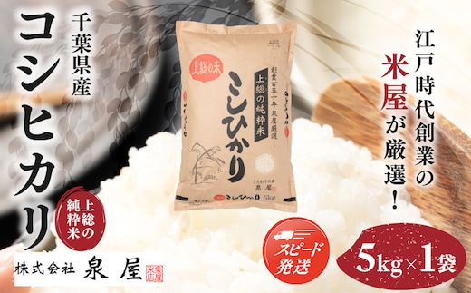 【最短2～7営業日にて出荷】令和8年度産 上総の純粋米「コシヒカリ」 5kg 【厳選】千葉県産 KCV002
