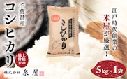 令和8年度産  上総の純粋米「コシヒカリ」　5kg　【厳選】千葉県産     KCV002