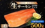<メディア掲載多数> 国産 おかそだち 生サーモン トラウトフィレ 500g ( 真空パック ) 木更津産 KJ008 | サーモン 生サーモン 鮭 さけ サケ シャケ ふるさと納税 真空パック 真空 生サーモントラウトフィレ トラウトフィレ 養殖 骨取 骨取り ほねとり