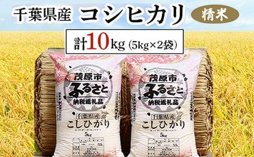 令和7年産 千葉県産コシヒカリ 精米 10kg(5kg×2袋) ふるさと納税 コシヒカリ 米 精米 こめ 千葉県 茂原市 MBAD001