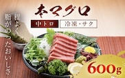 本マグロ 中トロ 600g ふるさと納税 マグロ トロ 中トロ 魚 刺身 冷凍 千葉県 茂原市 MBT002