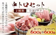 豪華!中トロセット!マグロ 中トロセット(本マグロ600g+メバチマグロ600g) ふるさと納税 マグロ トロ 中トロ 魚 刺身 冷凍 天然 千葉県 茂原市 MBT003