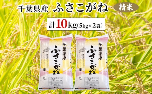 令和7年産 千葉県産ふさこがね 精米 10kg(5kg×2袋) ふるさと納税 ふさこがね 米 精米 こめ 千葉県 茂原市 MBAD004
