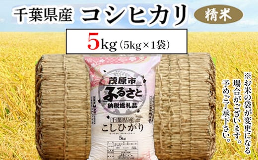 令和7年産 千葉県産コシヒカリ 精米 5kg MBAD001