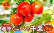 濃厚ミニトマト3kg千果 MBBG002