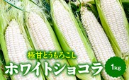 極甘とうもろこし ホワイトショコラ MBBG003