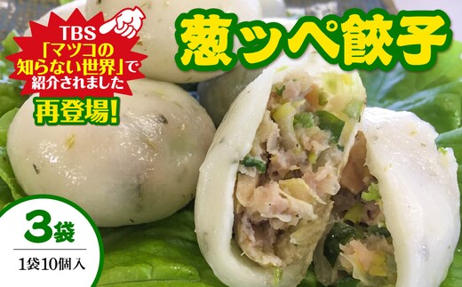 茂原市本納産のネギをふんだんに使用した35g『葱ッペ餃子』 10個入り×3袋 / ふるさと納税 ネギ 餃子 ぎょうざ ギフト 贈答 茂原市 MBE001