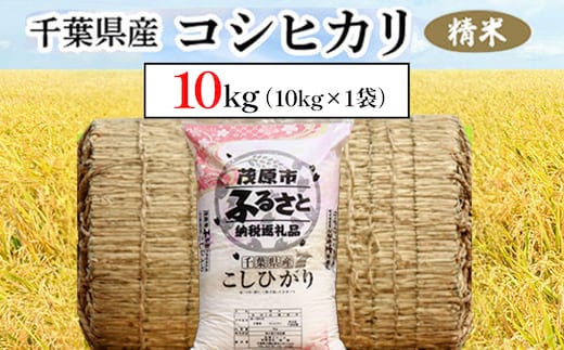 令和８年産 千葉県産コシヒカリ 精米 10kg(10kg×1袋) MBAD010